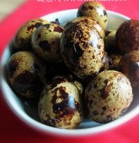 ���u�g����������