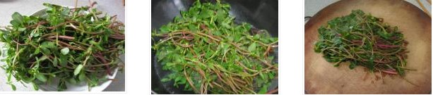 �����R�X�{�������D�Ĳ��E