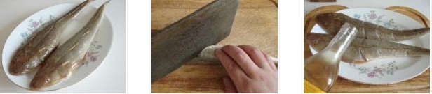 �t���p���~�������D�Ĳ��E