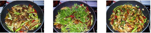 �����������ӵ������D�Ĳ��E