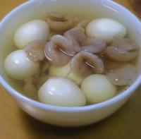 ���A�g����������