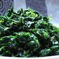 �����R�m�^������