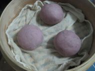 �����_���z�^�������D�Ĳ��E