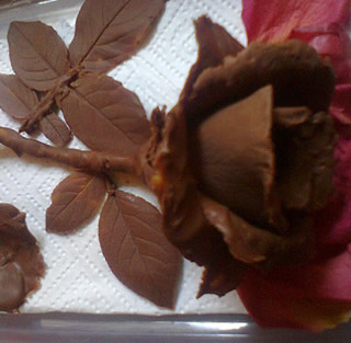 �ɿ���õ�������