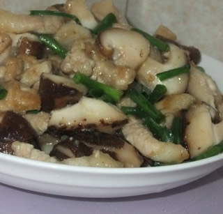 �㹽����Ƭ������