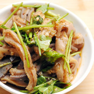 �t�Ͷǽz������