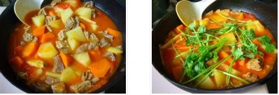 番茄燒牛腩的做法圖文步驟