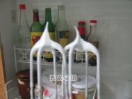 ��񵰸�������D�Ĳ��E