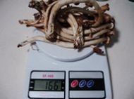 �����Z��乽�������D�Ĳ��E