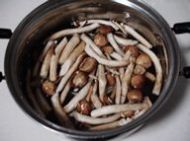 �����Z��乽�������D�Ĳ��E