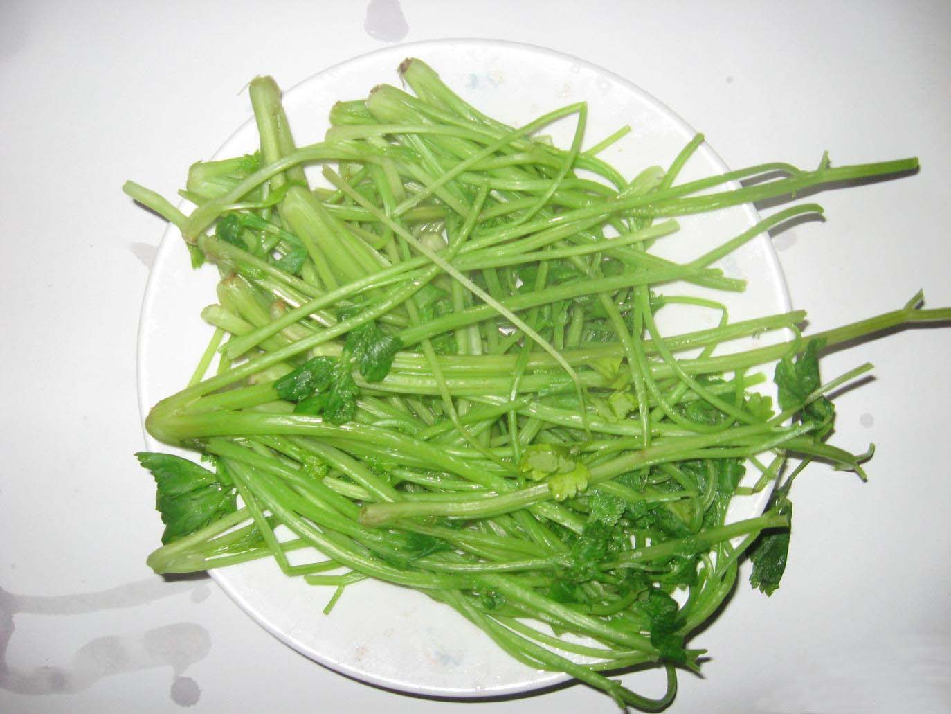 �����۲˵������D�Ĳ��E