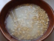 �����D�c������D�Ĳ��E