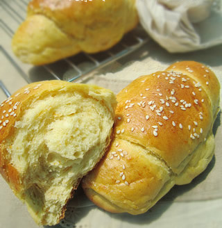 �Ϲ�֥��͵�����