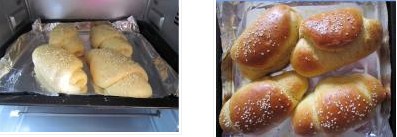 �Ϲ�֥��͵������D�Ĳ��E