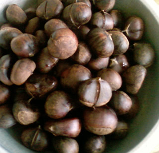 �����ӵ�����