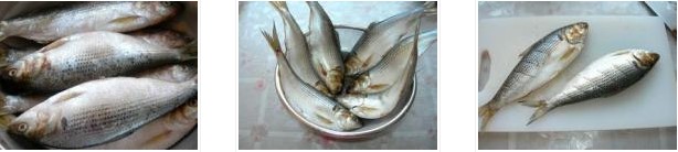 �����a�~�������D�Ĳ��E