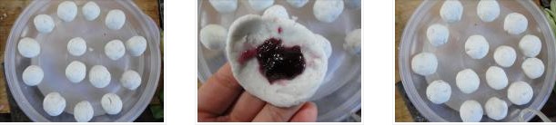 ���^���A�������D�Ĳ��E