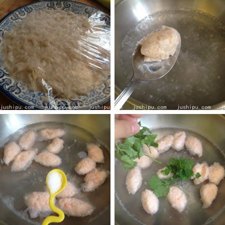 �r�������� m.sk010.cn