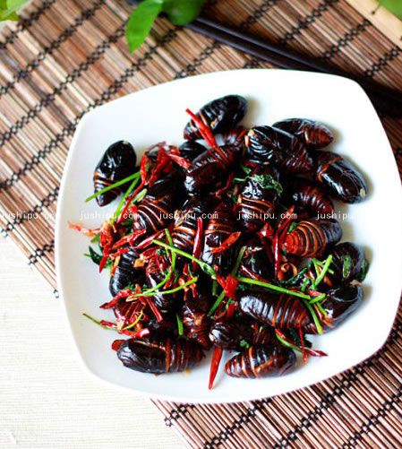 �����QӼ������ m.sk010.cn