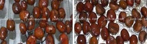 �ǿ����ӵ����� m.sk010.cn