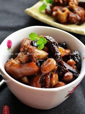 �t���i�������