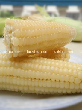 ΢���t�����׵�����