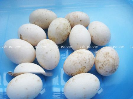 ������������ m.sk010.cn