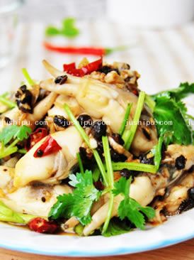 ���ȝ�� �����������|�������