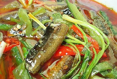 �t�F�X�~������