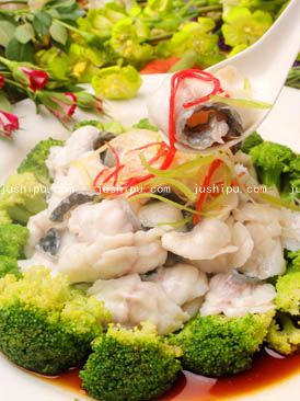 �ҳ��������~Ƭ������