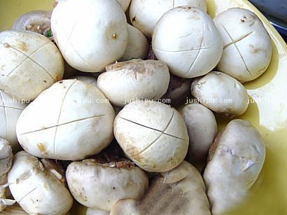 Ģ��С���ӵ����� m.sk010.cn