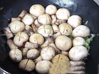 Ģ��С���ӵ����� m.sk010.cn